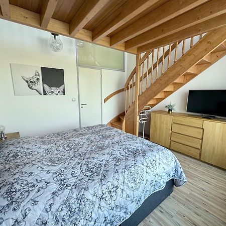 Miky Apartman Klinovec Garden Loučná pod Klínovcem 外观 照片